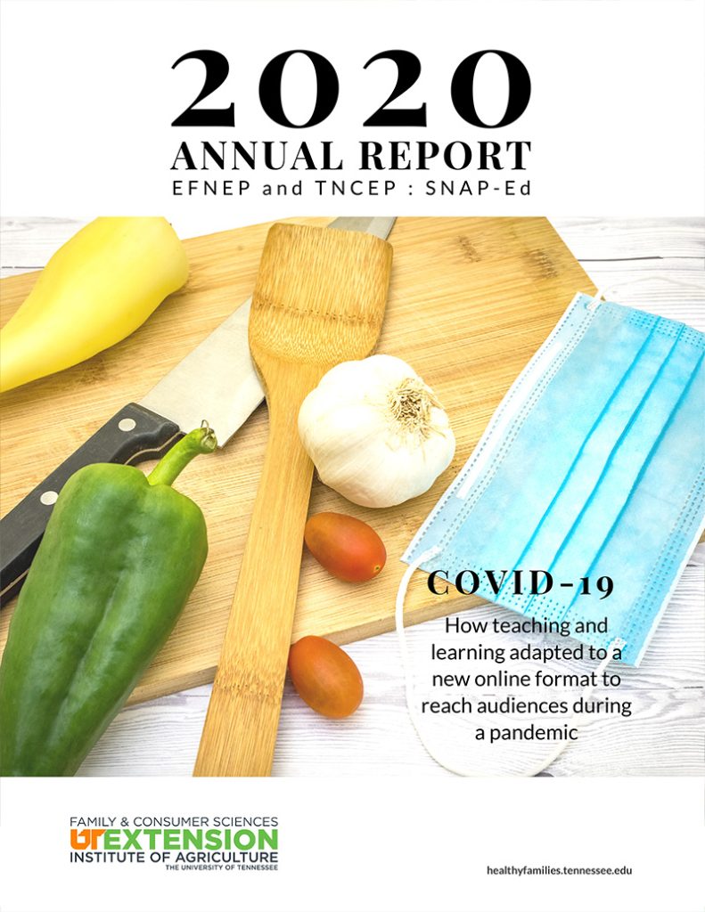 2020 annual report